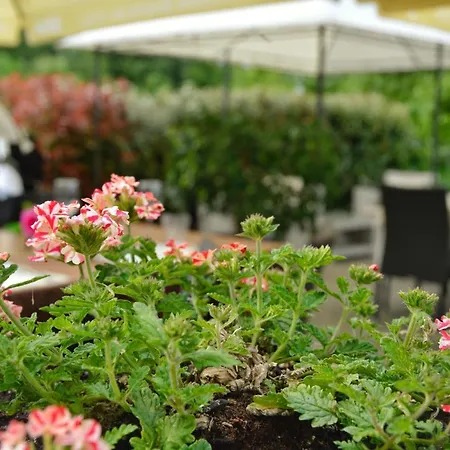 Bed & Breakfast Tomazici 4*