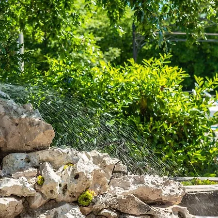 Tomazici Bed & Breakfast Santalezi